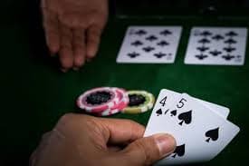 79bet com
